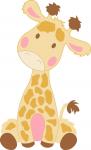 Baby Giraffe