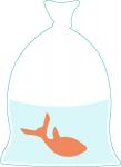 Bagged Goldfish