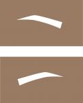 Eyebrow Stencil #1