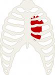 Skeleton and Heart