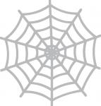 Spider Web 1