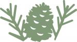 Pinecone