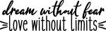 Dream with Fear, Love without Limits