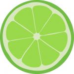 Lime Slice