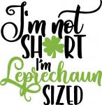 Leprechaun Sized