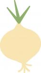 Onion