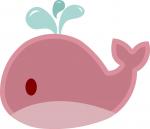 Cute Whale