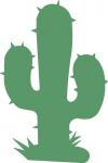 Cactus 1