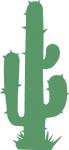 Cactus 2