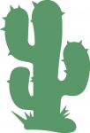 Cactus 3