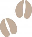 Cow Hoof Prints