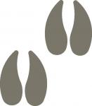Goat Hoof Prints