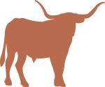 Longhorn Steer