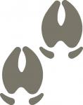 Pig Hoof Prints