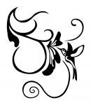 Humming Bird Swirl
