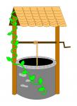 Magical Wishing Well