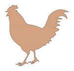 Rowdy Rooster