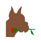 Boxer with Rose