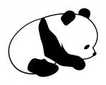 Baby Panda