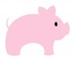 Baby Pig