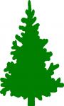 Pine Tree