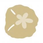 Sand Dollar