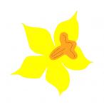 Daffodil