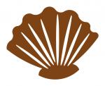Clam Shell