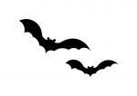 Bats