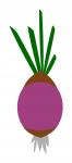 Red Onion