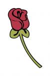 Rose Stem
