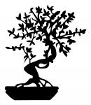 Bonsai Tree