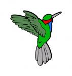 Hummingbird