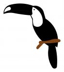 Toucan Bird