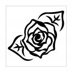 Black & White Flower