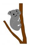 Koala in the Tree