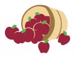 Apple Basket