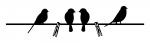 Birds on Clothes Line