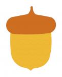 Acorn