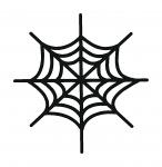 Spider Web