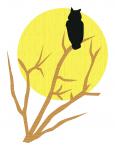 Owl in Tree