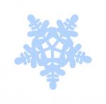 Winter Snowflake