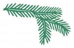 Pine Branch