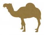 Camel