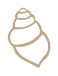 Seashell