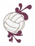 Volleyball Flourish