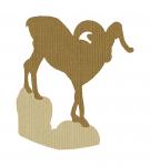 Bighorn Sheep