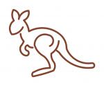 Kangaroo