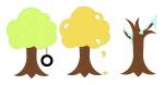 Trees of the Season