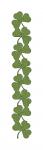 Shamrock Border